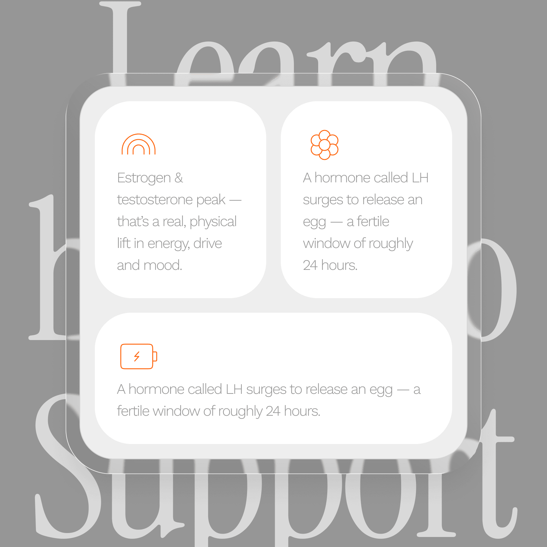 Learn how to Support
